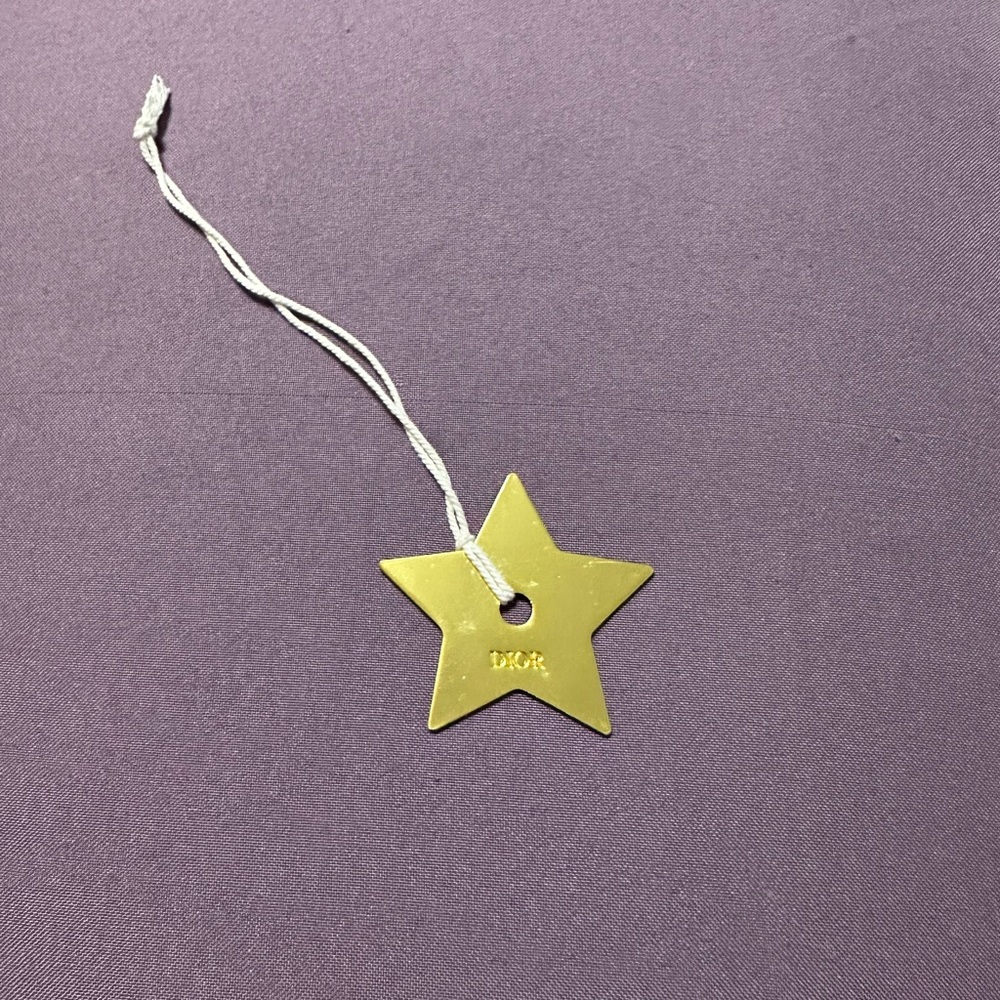 Christian Dior charm new